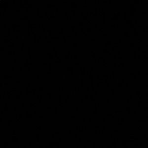 Meet your Posher, Raquel